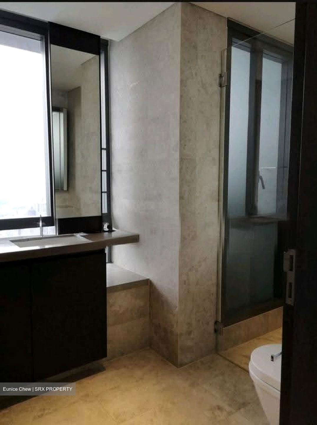 Skysuites@Anson (D2), Apartment #621686931
